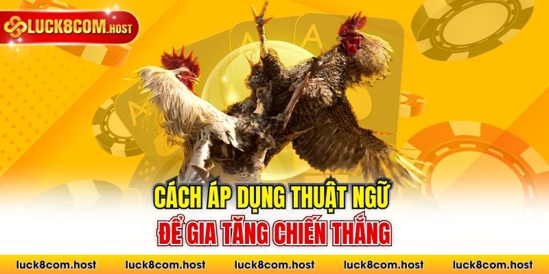 Cách áp dụng thuật ngữ để gia tăng chiến thắng
