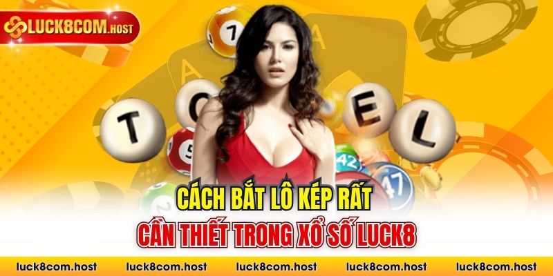 Cách bắt lô kép rất cần thiết trong xổ số Luck8