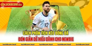 Cách Phân Tích Kèo Bóng Đá Đơn Giản Dễ Hiểu Dành Cho Newbie