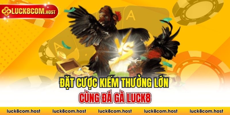 Đặt cược kiếm thưởng lớn cùng đá gà Luck8