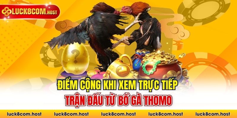 Điểm cộng khi xem trực tiếp trận đấu từ bồ gà Thomo