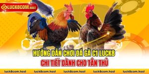 Hướng Dẫn Chơi Đá Gà C1 Luck8 Chi Tiết Dành Cho Tân Thủ