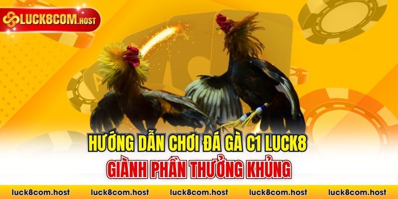 Hướng dẫn chơi đá gà C1 Luck8 giành phần thưởng khủng