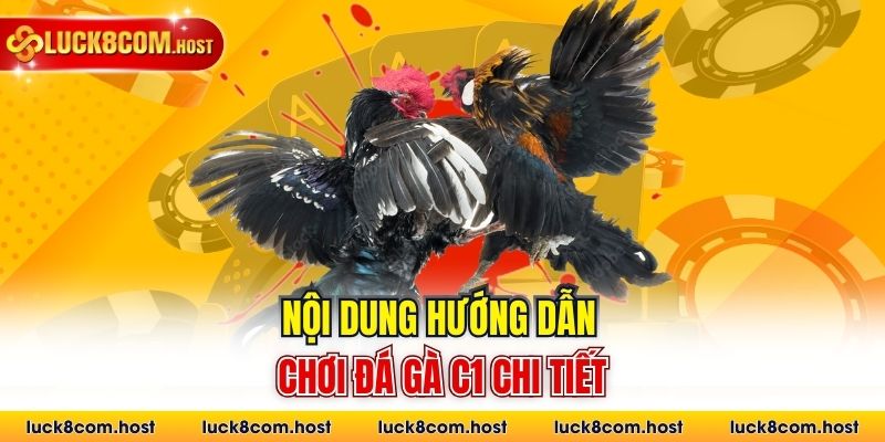 Nội dung hướng dẫn chơi đá gà C1 chi tiết