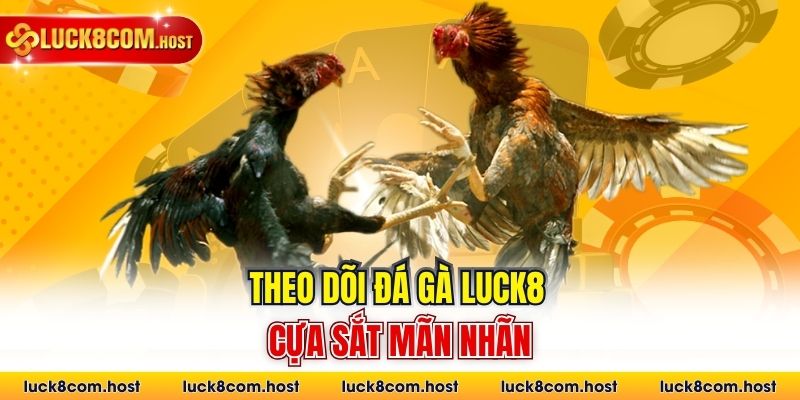 Theo dõi đá gà Luck8 cựa sắt mãn nhãn