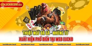 Thuật Ngữ Đá Gà - Những Từ Xuất Hiện Phổ Biến Tại Web Luck8